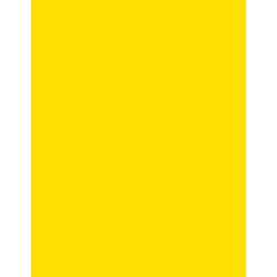 Polyneon 40 (1.000 m) 