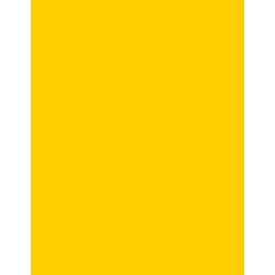  Polyneon 40 (1.000 m) 