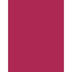  Polyneon 40 (1.000 m) 