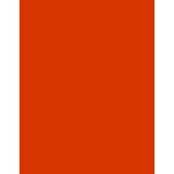  Polyneon 40 (1.000 m) 