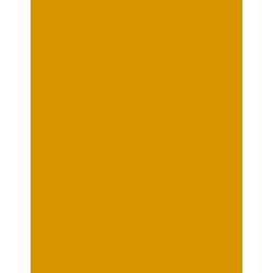  Polyneon 40 (5.000 m) 