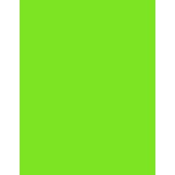  Polyneon 40 (5.000 m) 