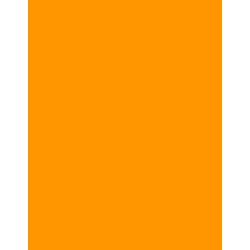  Polyneon 40 (5.000 m) 