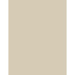 Polyneon 60 (1.500 m) 