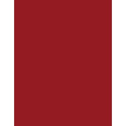  Polyneon 60 (1.500 m) 