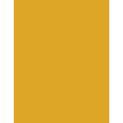  Polyneon 60 (1.500 m) 