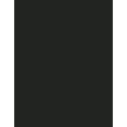  Polyneon 60 (1.500 m) 