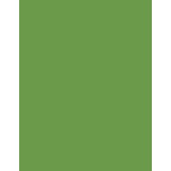  Polyneon 60 (1.500 m) 