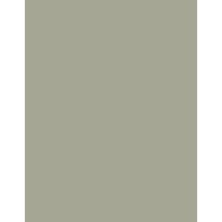  Polyneon 60 (1.500 m) 